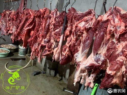 部分地区包邮 新鲜驴肉现杀驴肉带皮驴肉驴排骨肉山东特产价格44.8元 斤 惠农网