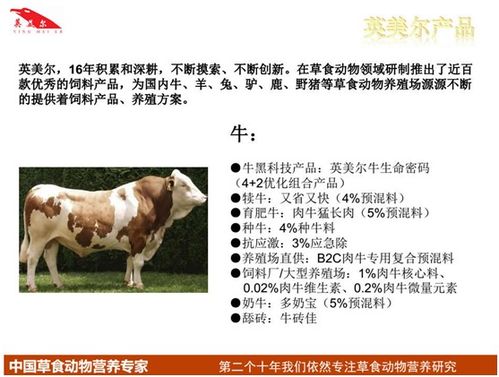 【育肥肉牛用什么饲料催肥快肉牛预混料催肥添加剂英美尔饲料】-